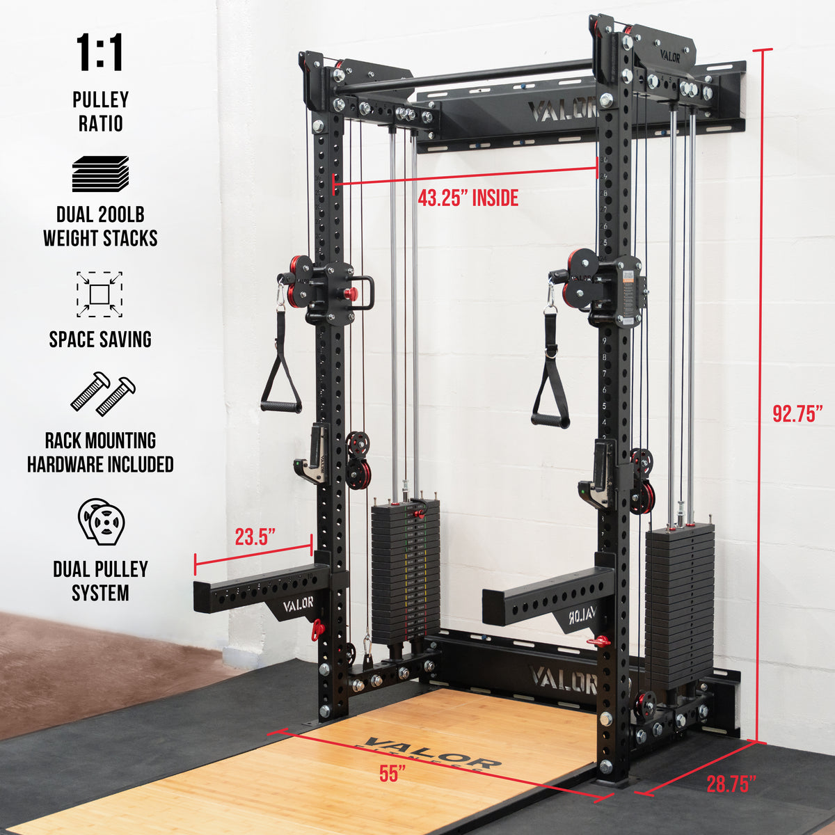 Wall-Mounted Functional Trainer