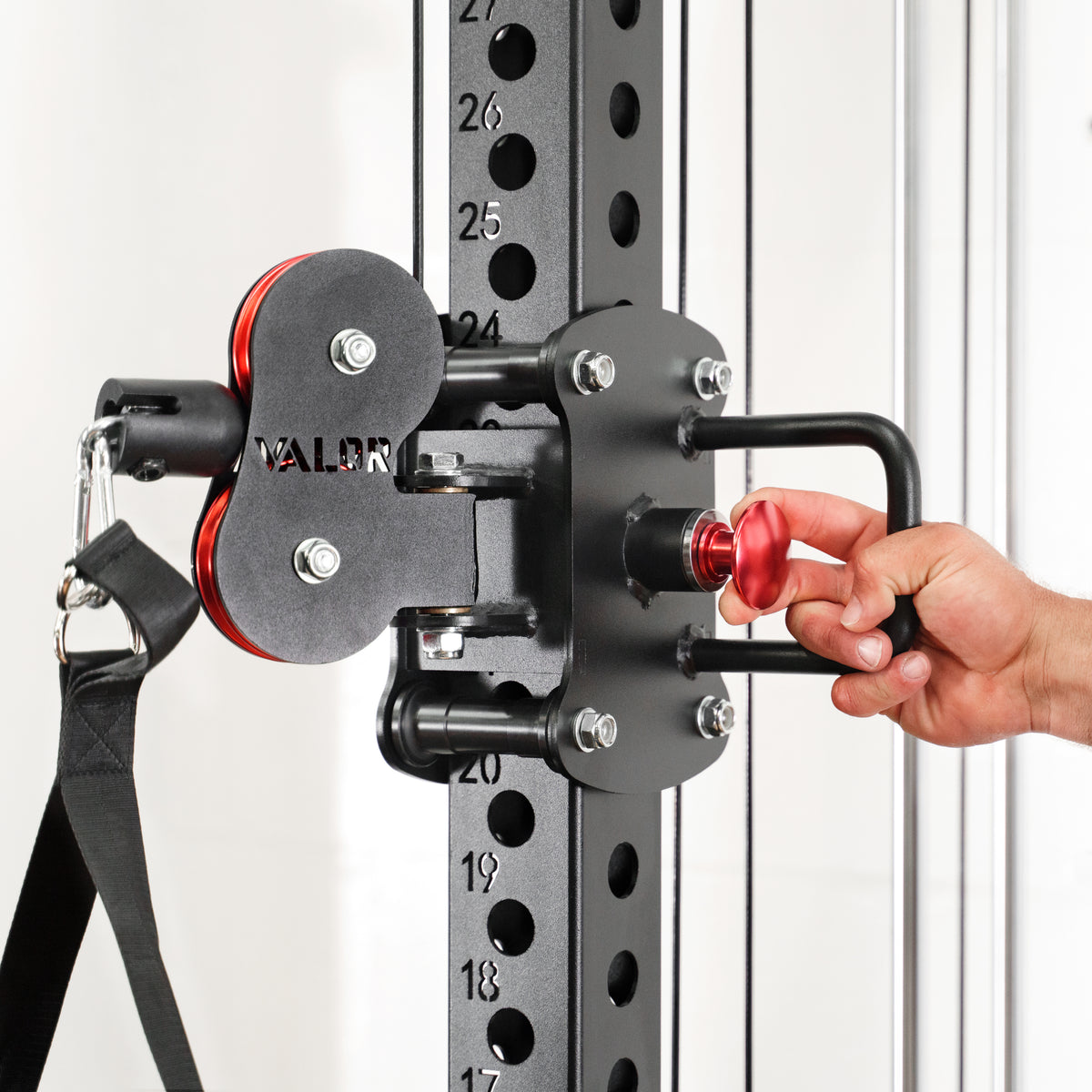 Wall-Mounted Functional Trainer