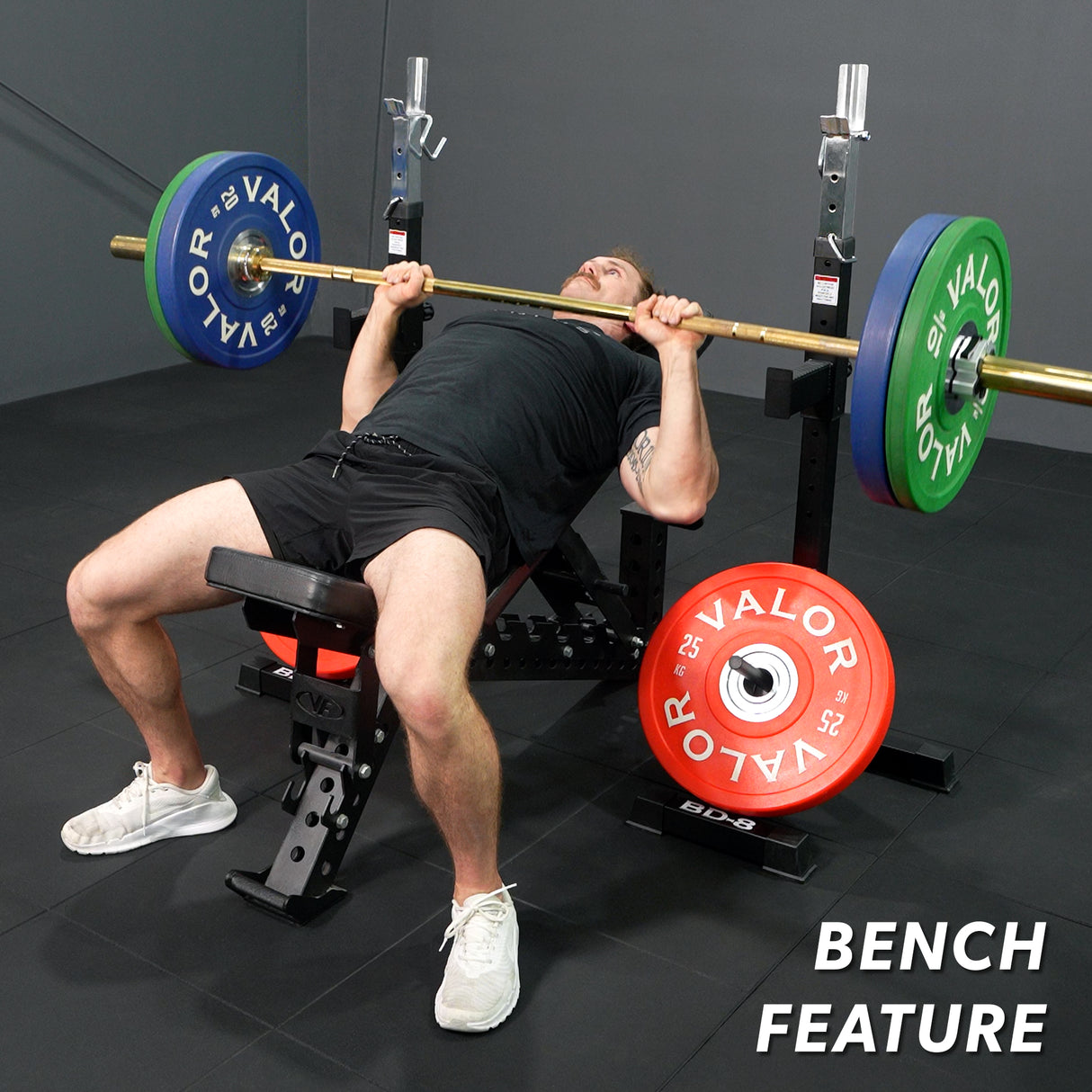 Independent Squat and Bench Stands
