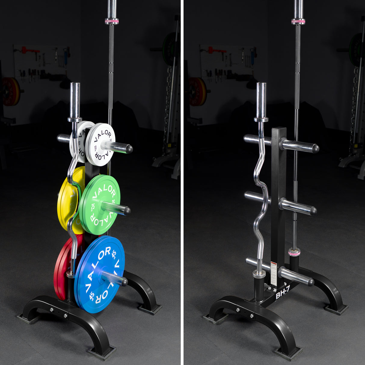 Elevated Storage Tree for Olympic Plates and Barbells