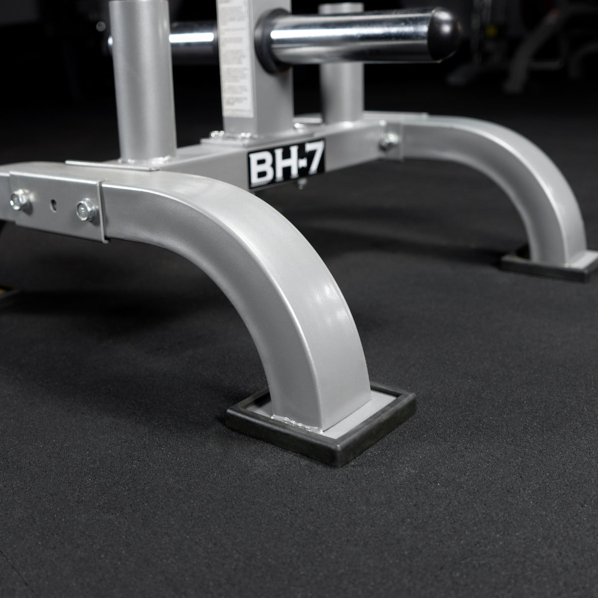 Elevated Storage Tree for Olympic Plates and Barbells