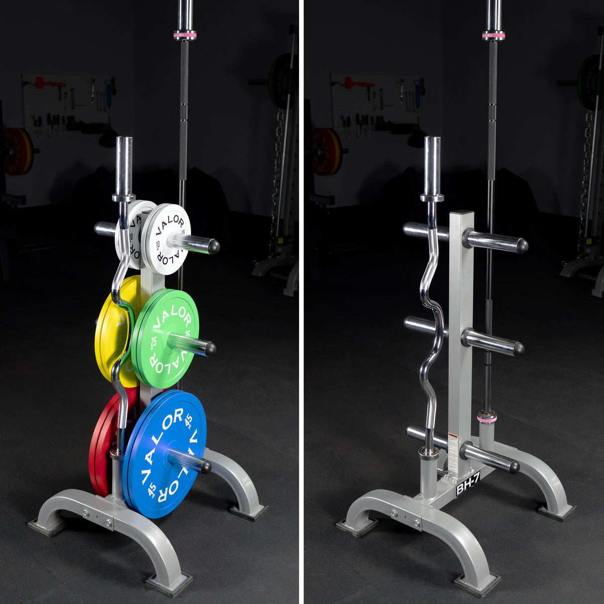 Elevated Storage Tree for Olympic Plates and Barbells