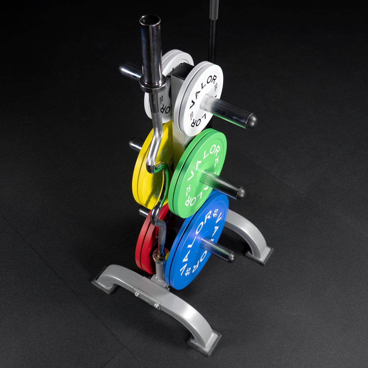 Elevated Storage Tree for Olympic Plates and Barbells