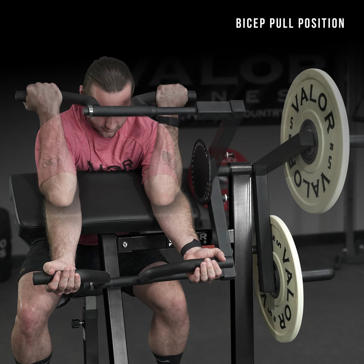 Bicep Tricep Curl Machine