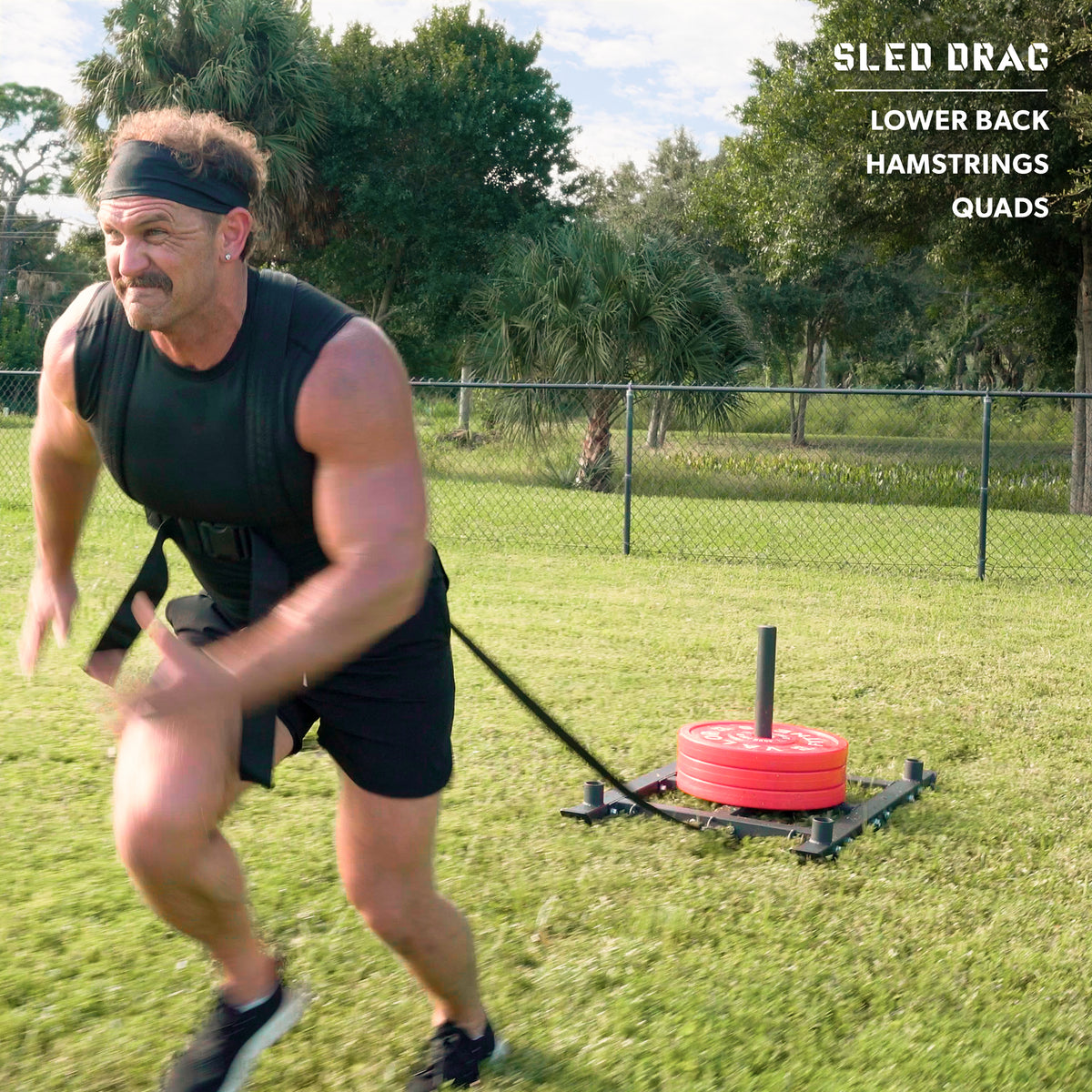 Power Sled Push Pull Drag w/ Shoulder Harness
