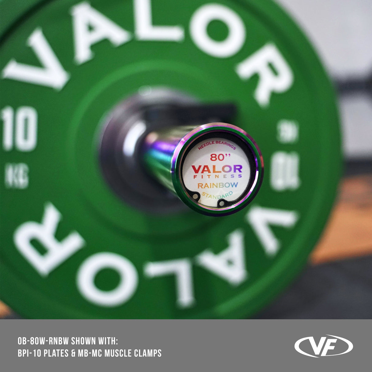 Rainbow Coated Needle Bearing Barbell