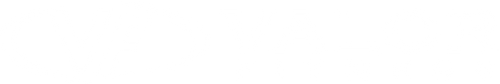 Valor Fitness logo
