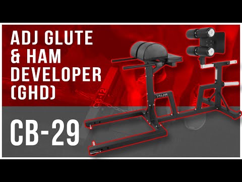 Load and play video in Gallery viewer, Adjustable Glute and Ham Developer (GHD)
