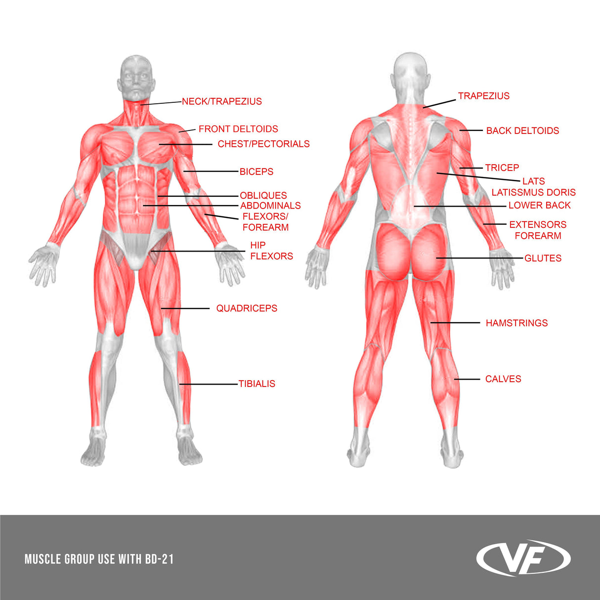 BD-21, Strongman Yoke Rack