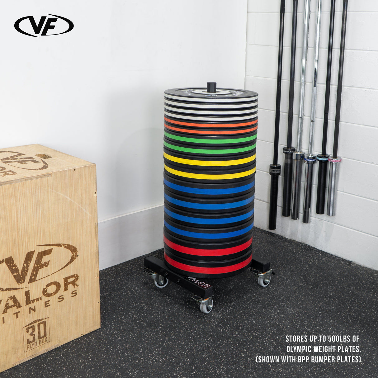 Mobile Bumper Plate Stand