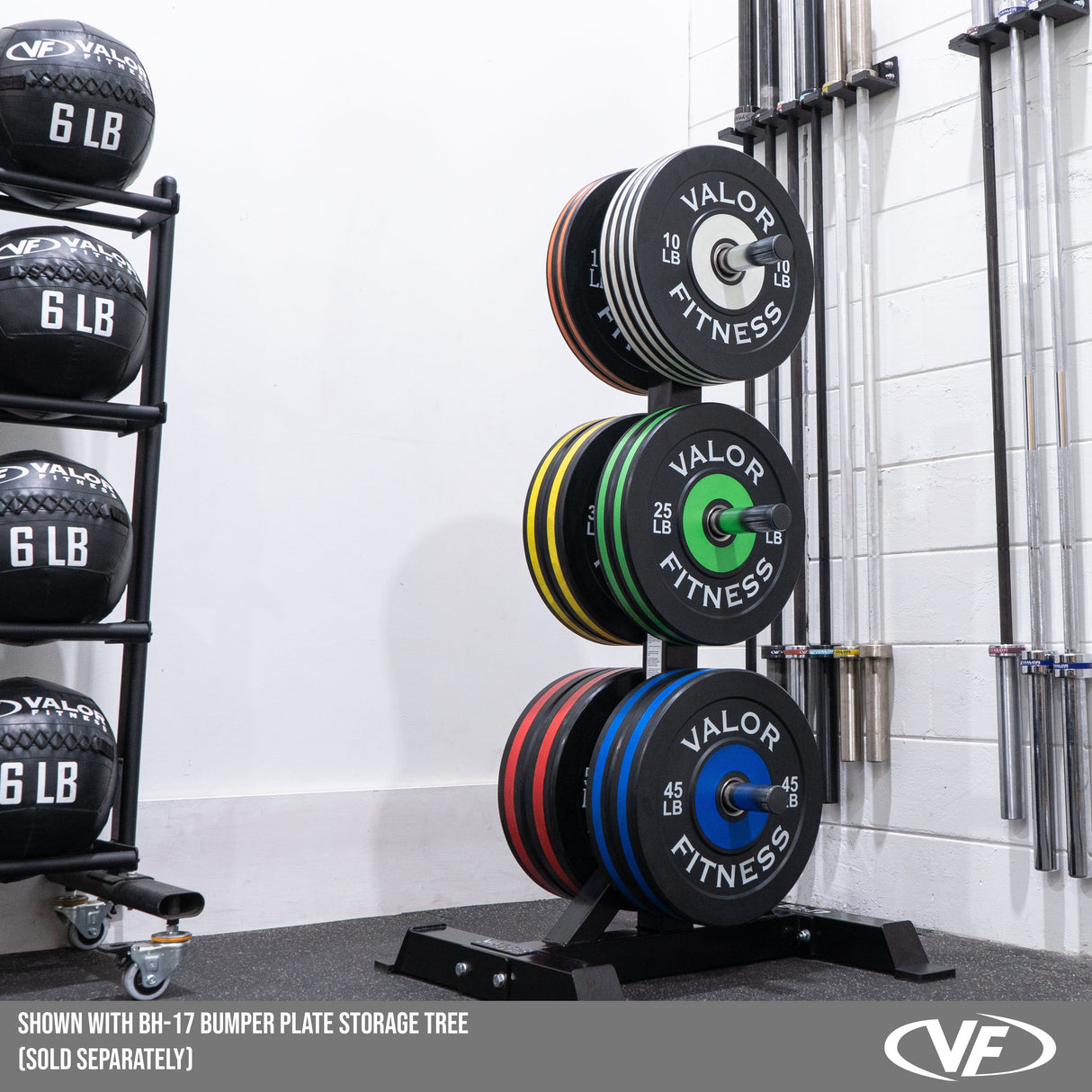 BPP, Bumper Plate Pro's