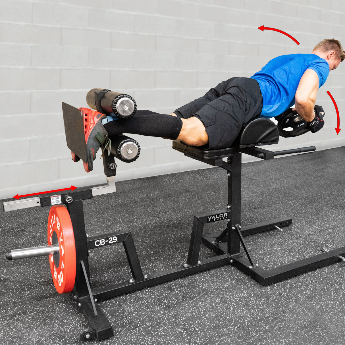 CB-29, Adjustable Glute and Ham Developer (GHD)