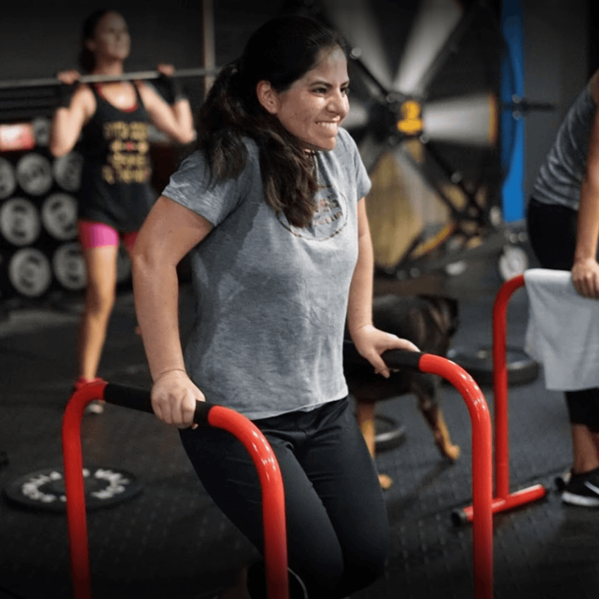 Valor Fitness EB-28, Dip Bars