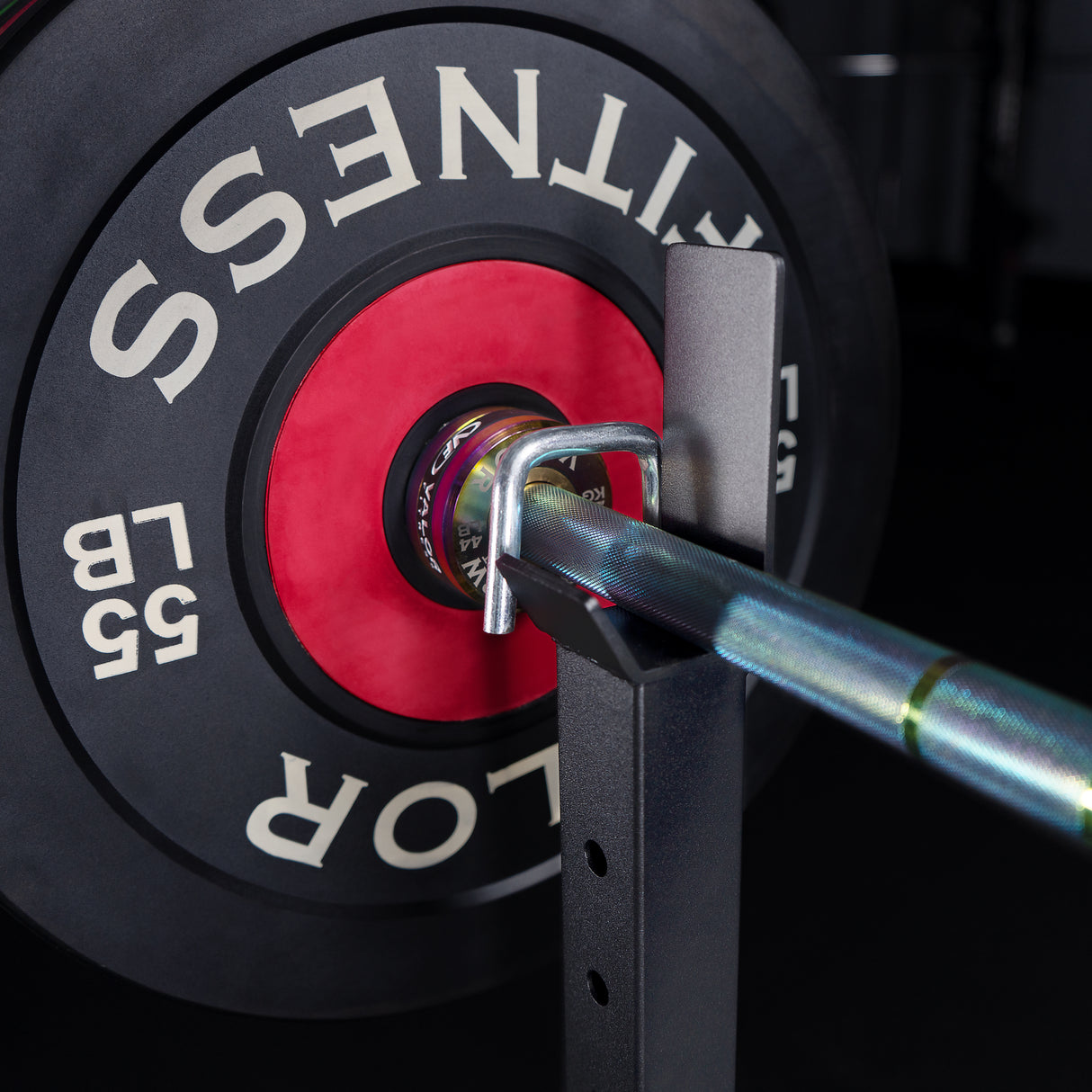 Bench Press Stands