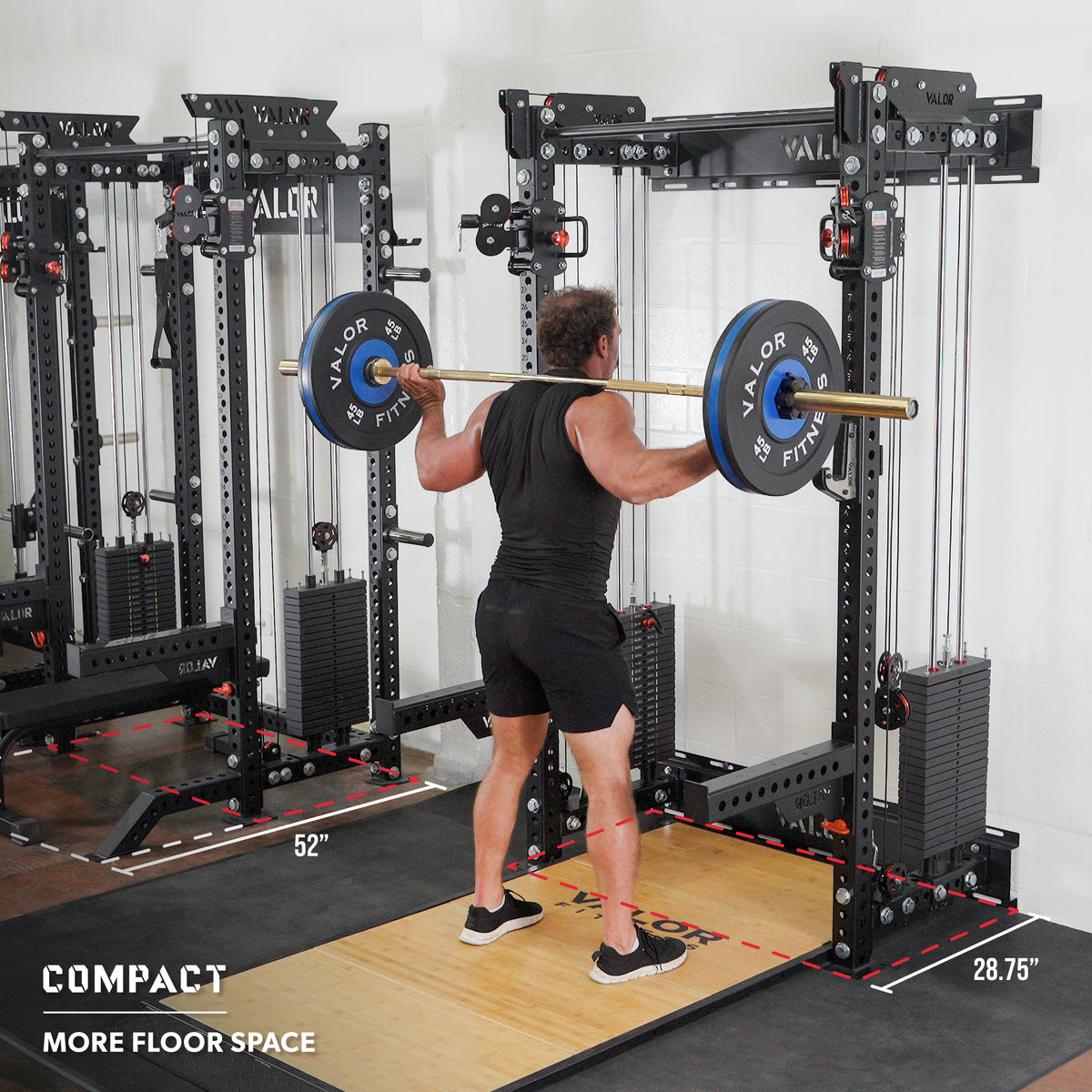 Wall-Mounted Functional Trainer