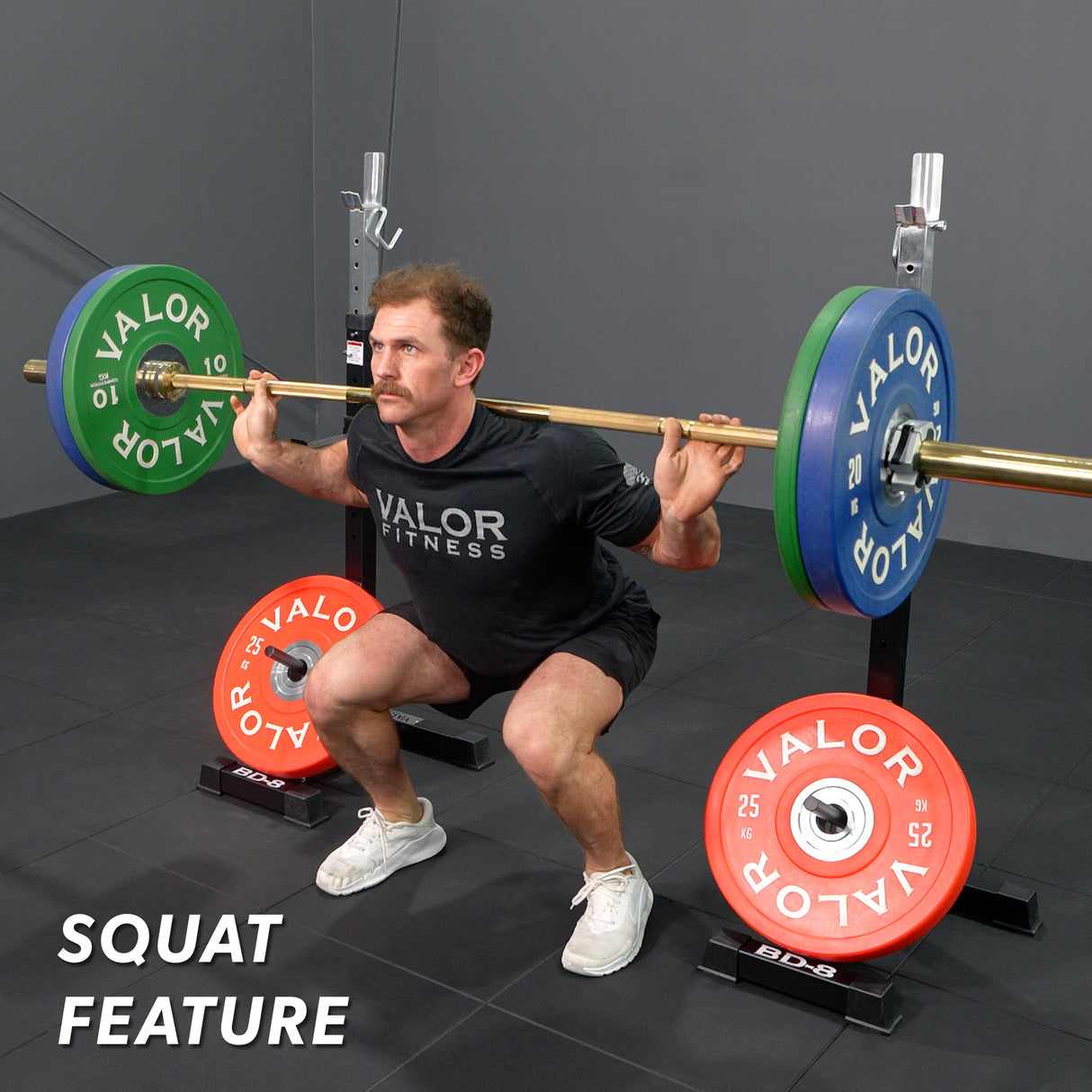 Independent Squat and Bench Stands