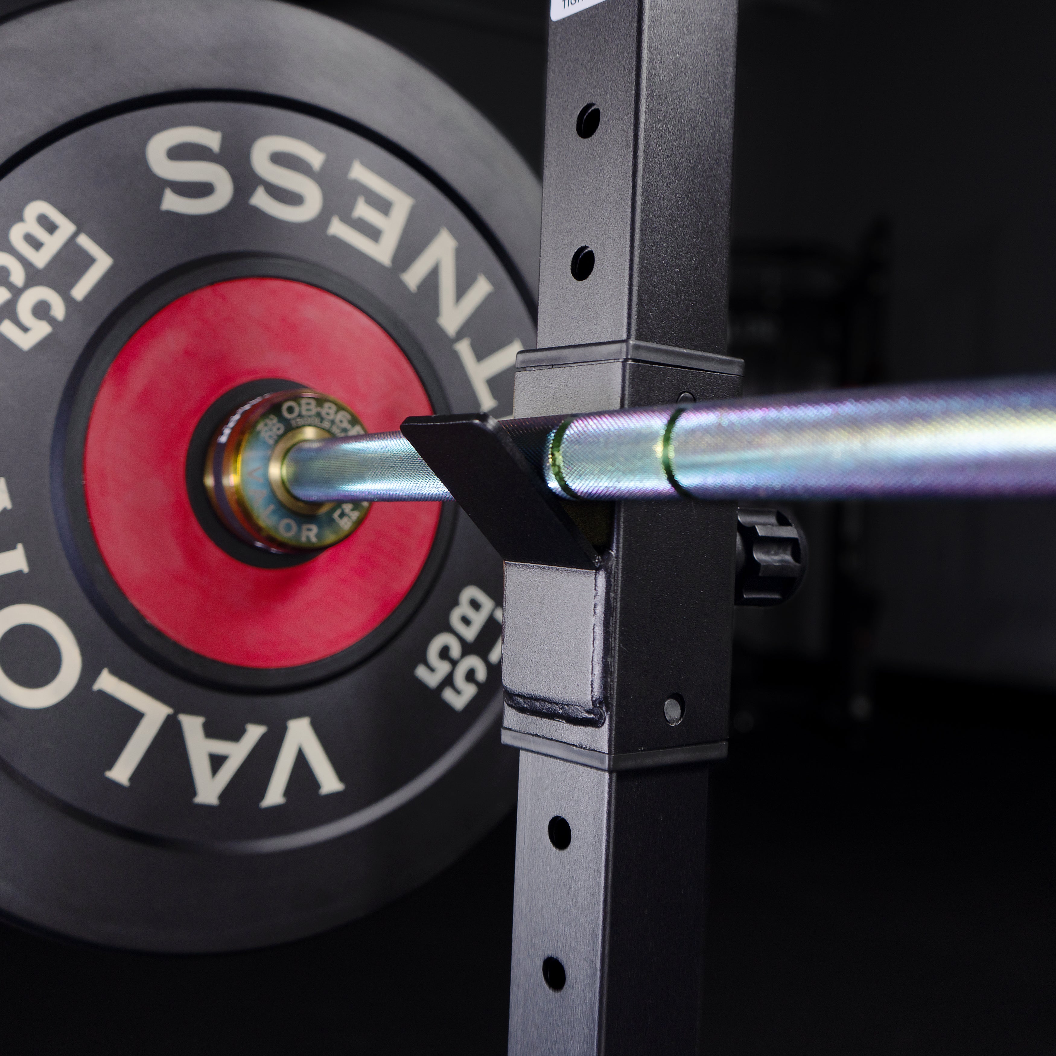 Adjustable Squat Stands - Plate Storage & Bar Catch – Valor Fitness