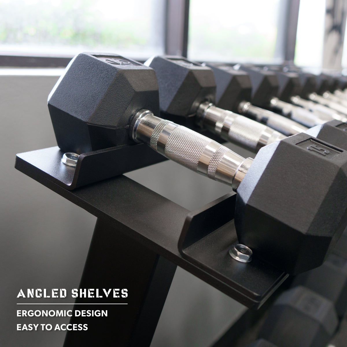 Dumbbell 2 Tier Storage Rack
