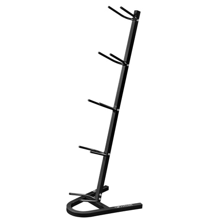 Exercise Ball 5 Tier Stand