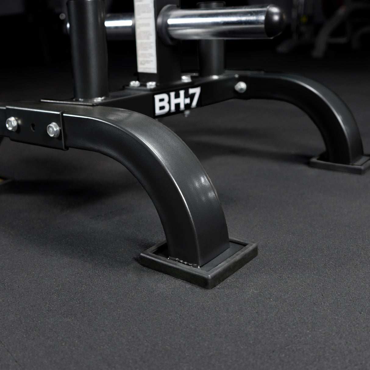 Elevated Storage Tree for Olympic Plates and Barbells