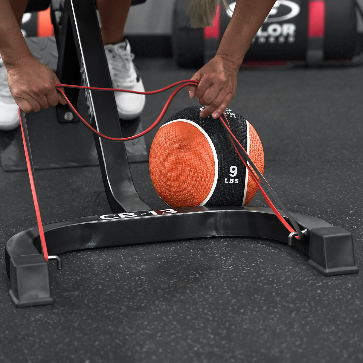 Adjustable Back Extension Machine