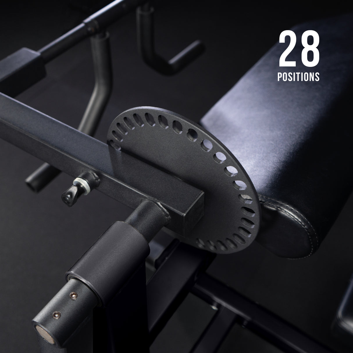 Bicep Tricep Curl Machine