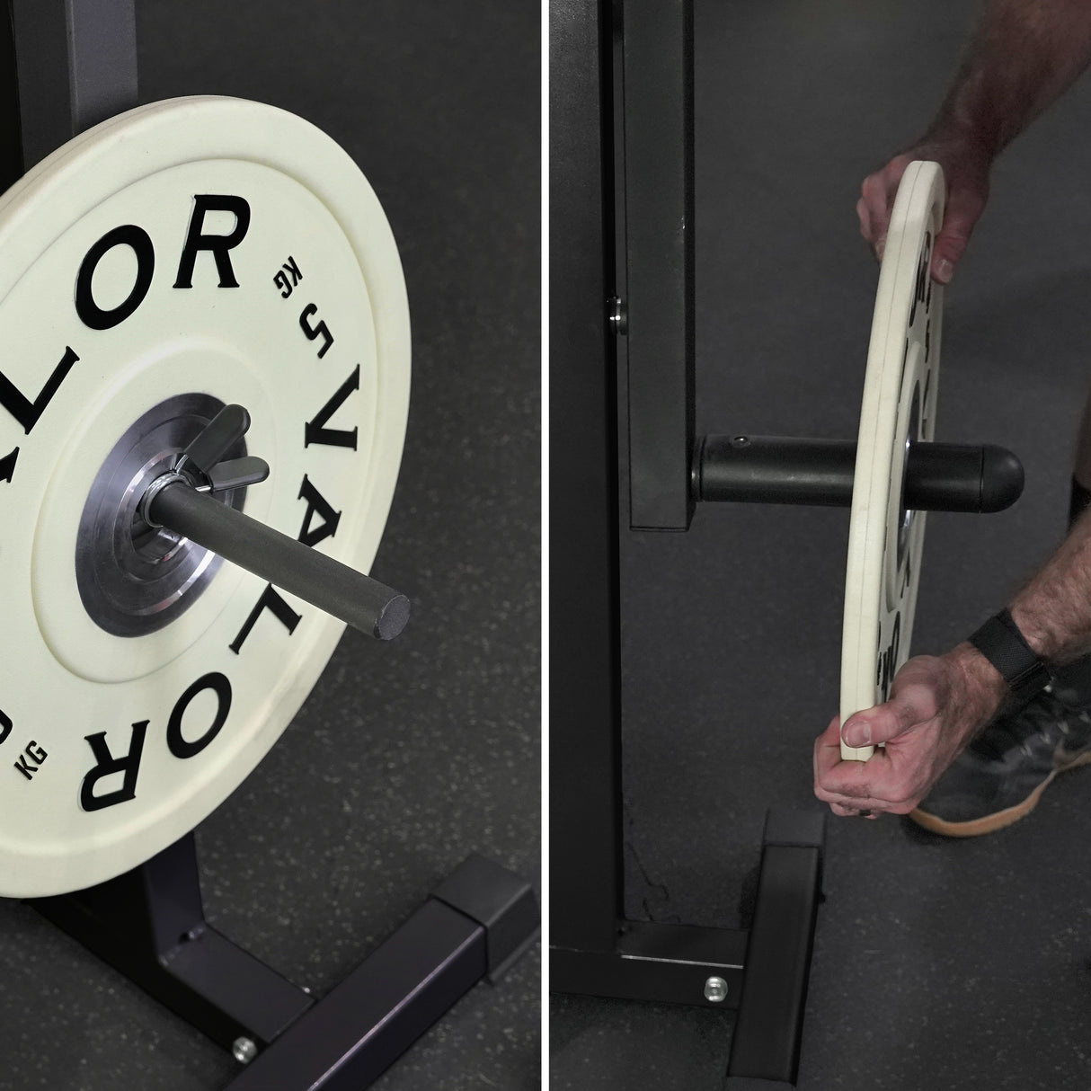 Bicep Tricep Curl Machine