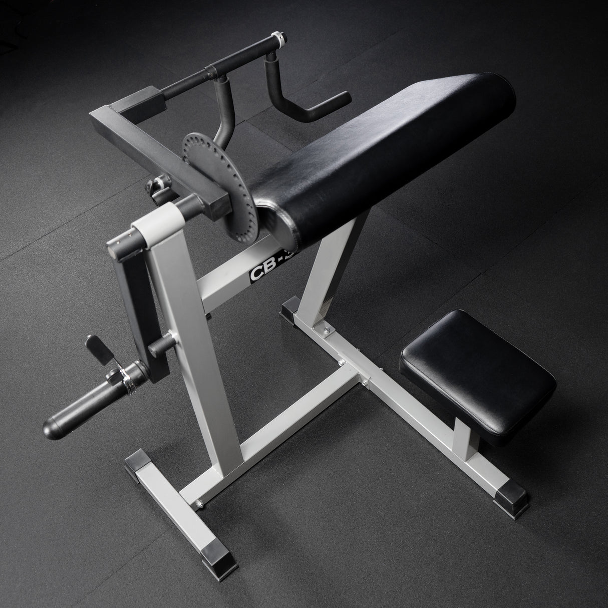 Bicep Tricep Curl Machine