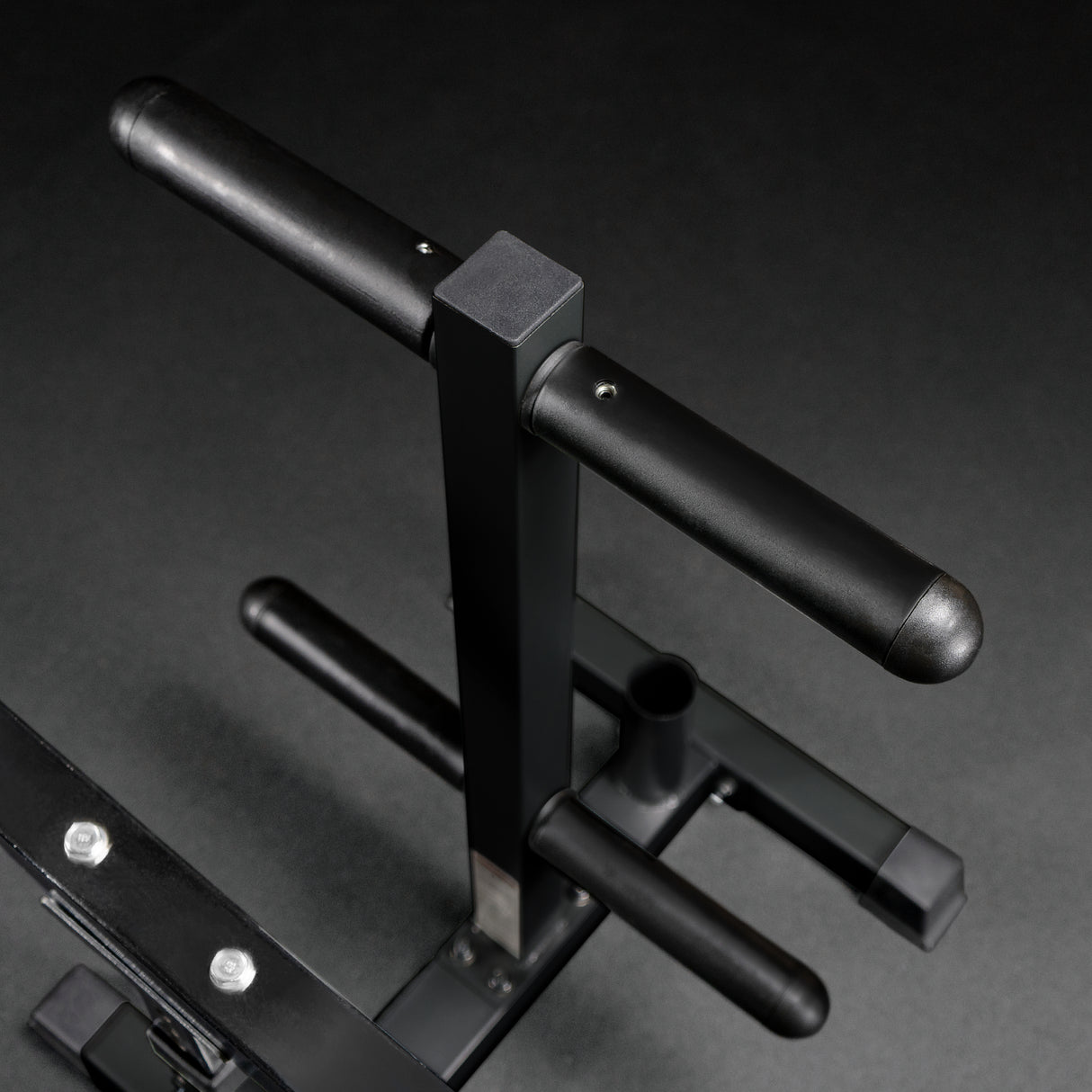 Standing Curl Station & Plate Storage Tree