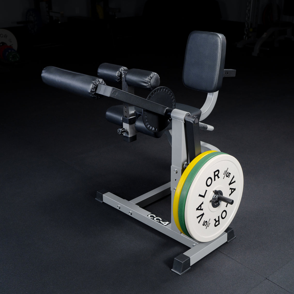 Adjustable Leg Extension - Curl Machine