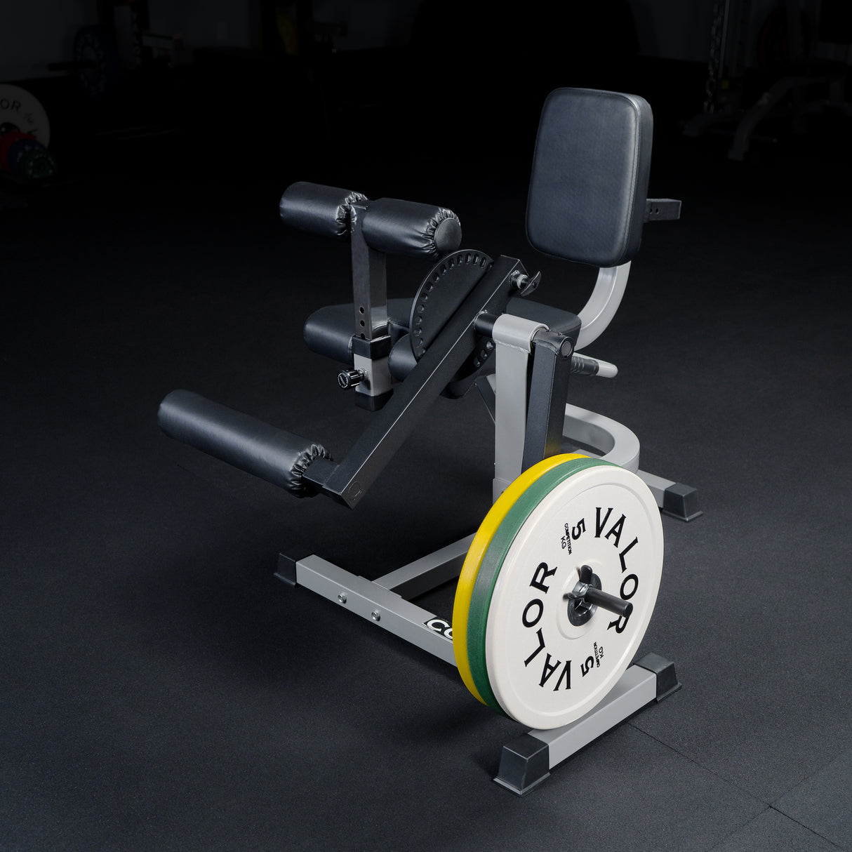 Adjustable Leg Extension - Curl Machine