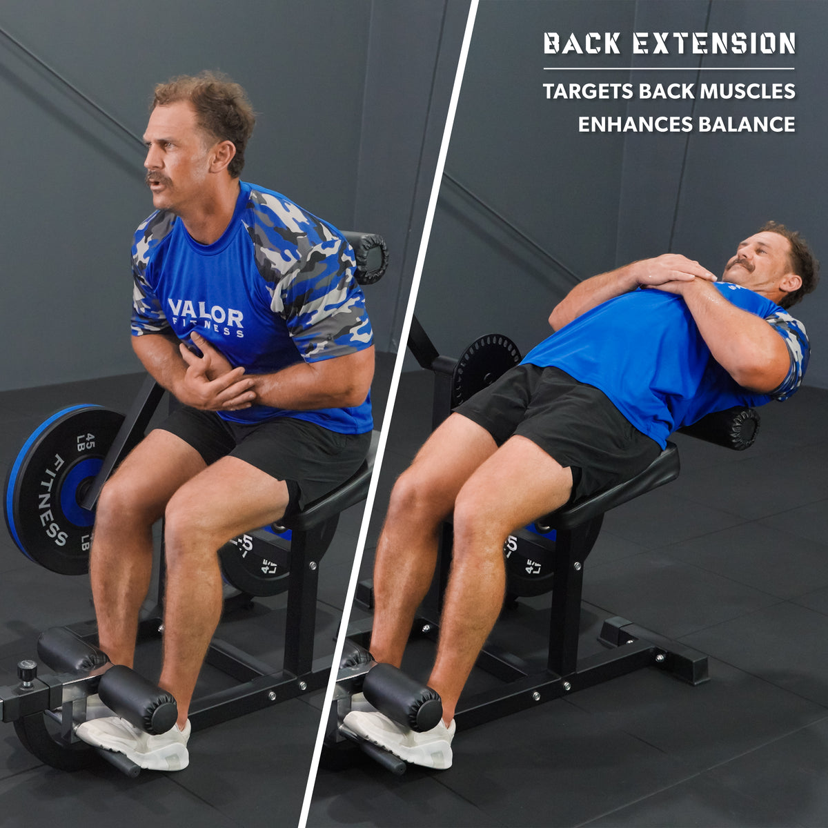 Ab Curl - Back Extension Machine