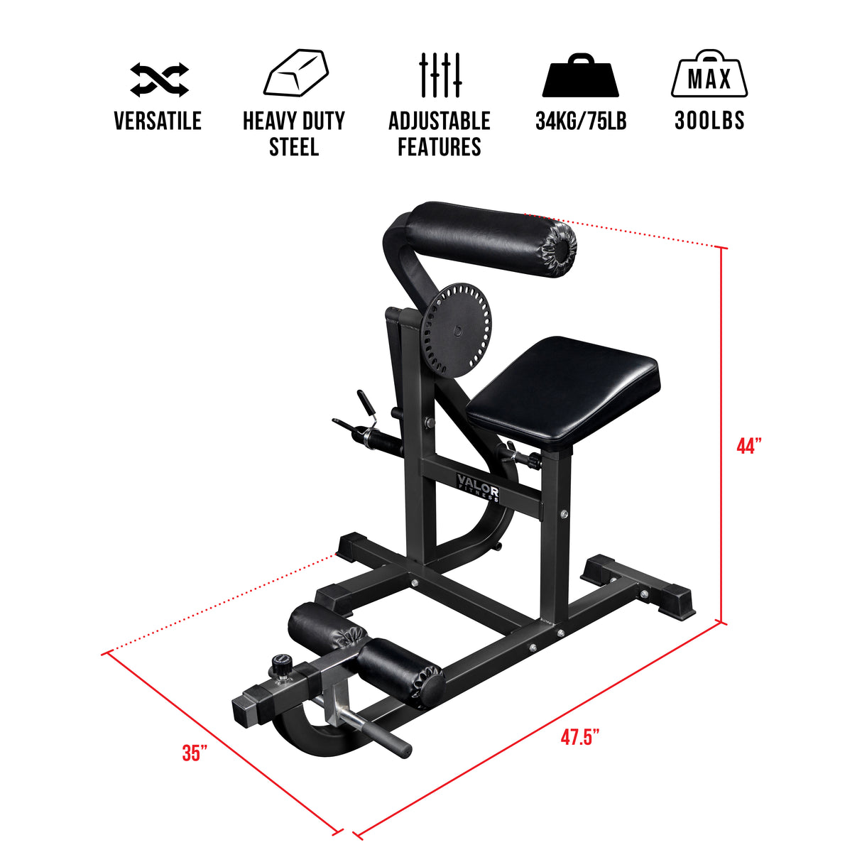 Ab Curl - Back Extension Machine