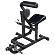 Ab Curl Back Extension Machine in Black Finish