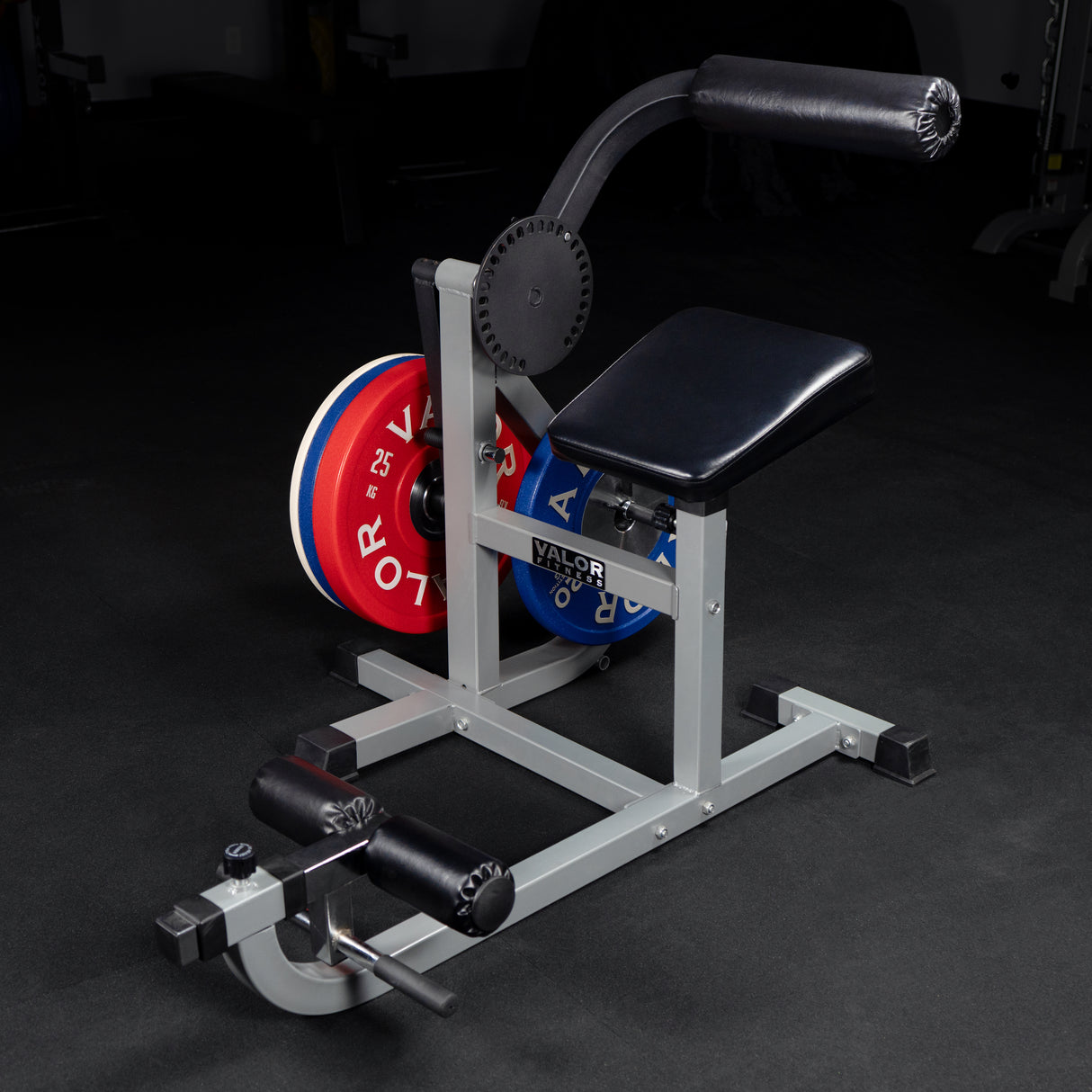 Ab Curl - Back Extension Machine