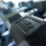 Rubber Hex Dumbbell Sets