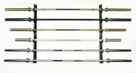 6-Barbell Storage Rack - Order Online Today | Valor Fitness BH-12