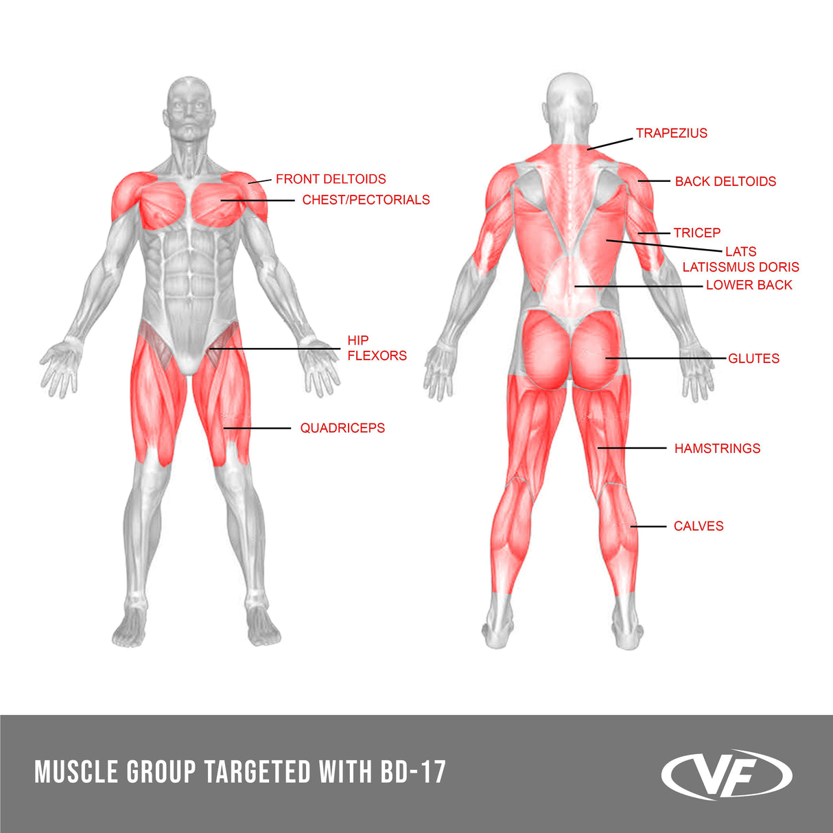 BD-17, Squat Stand Rack