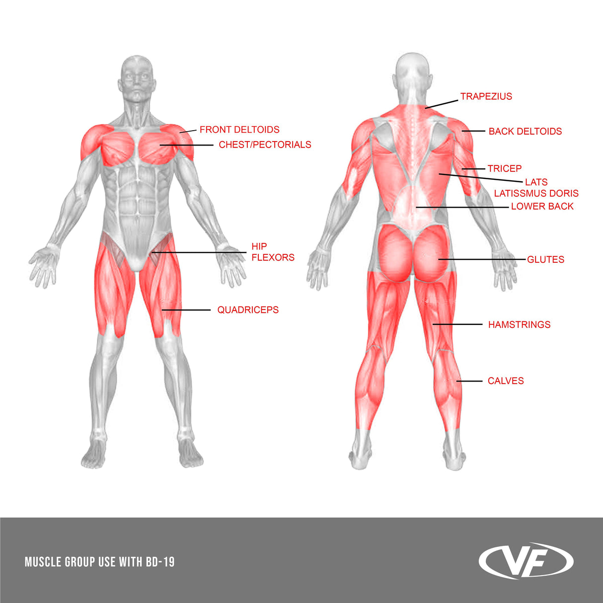 BD-19, Sawtooth Squat Rack