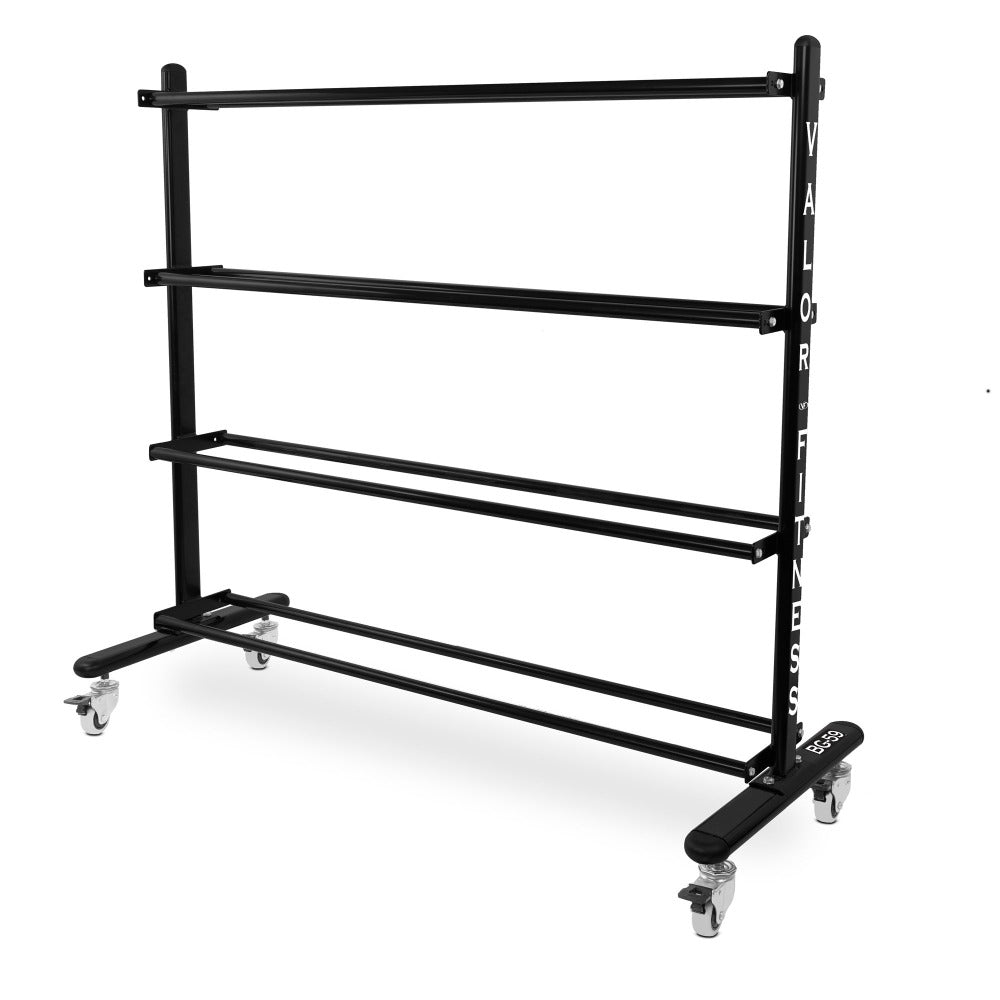 stability ball storage rolled compact cool dry place