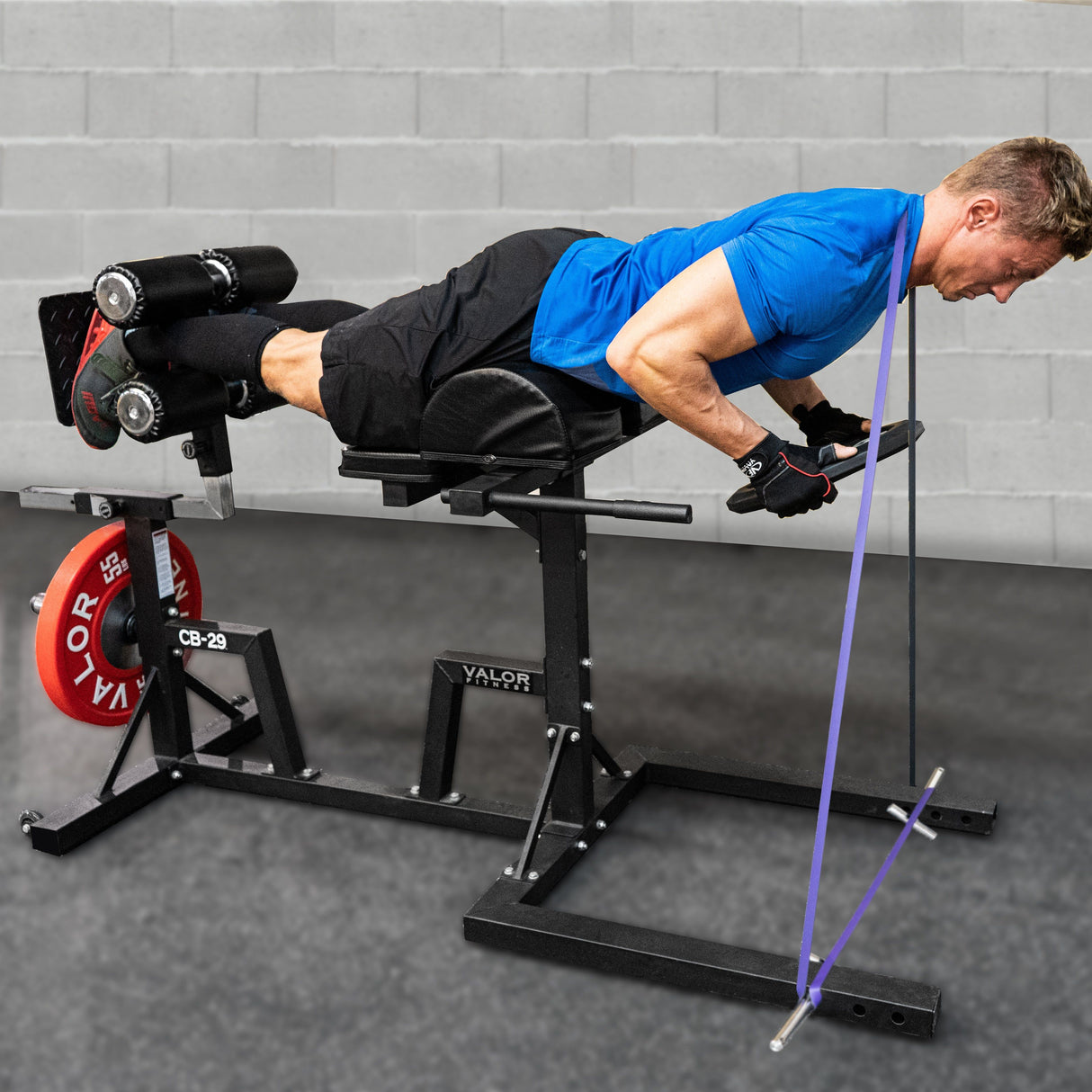 CB-29, Adjustable Glute and Ham Developer (GHD)