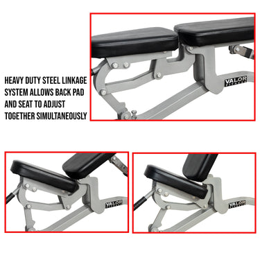 Adjustable Weight Bench - Perfect for Home Gyms - DD-11