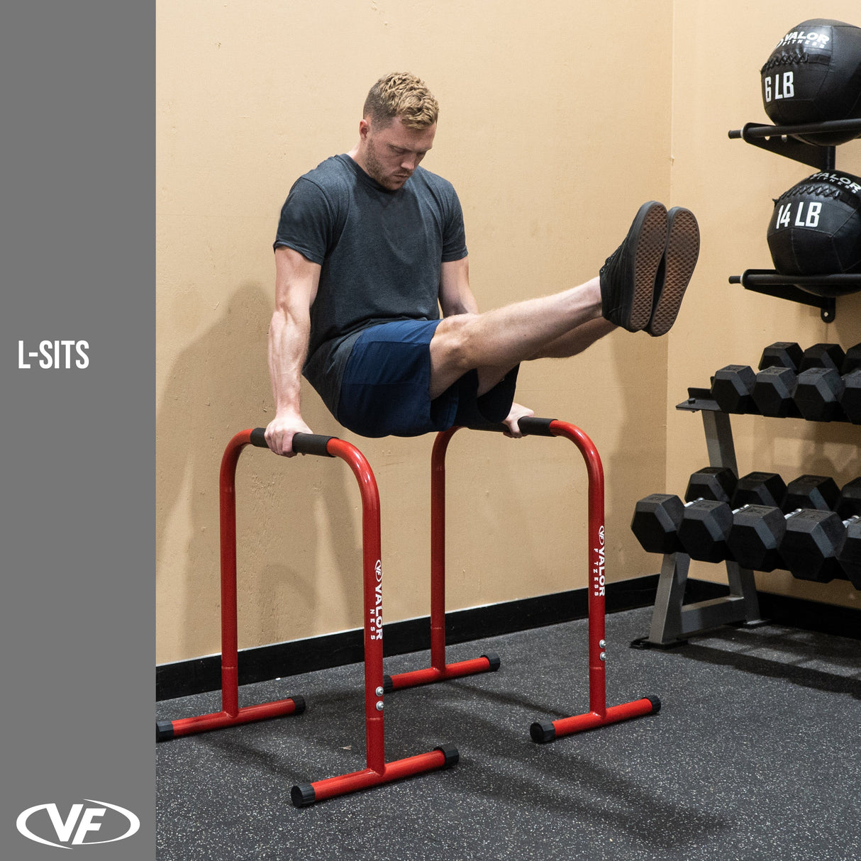 Valor Fitness EB-28, Dip Bars