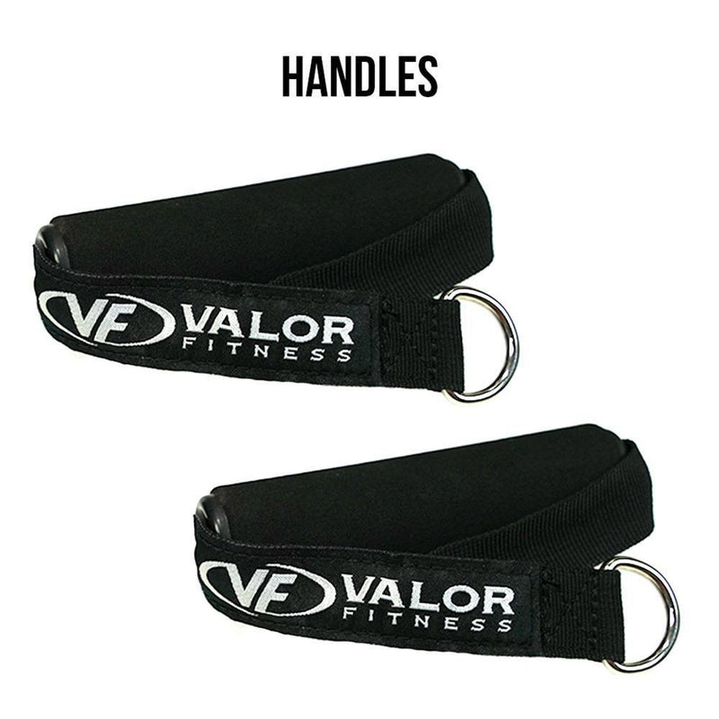 Load image into Gallery viewer, Valor Fitness ED-18, 5-Band Resistance Band Set

