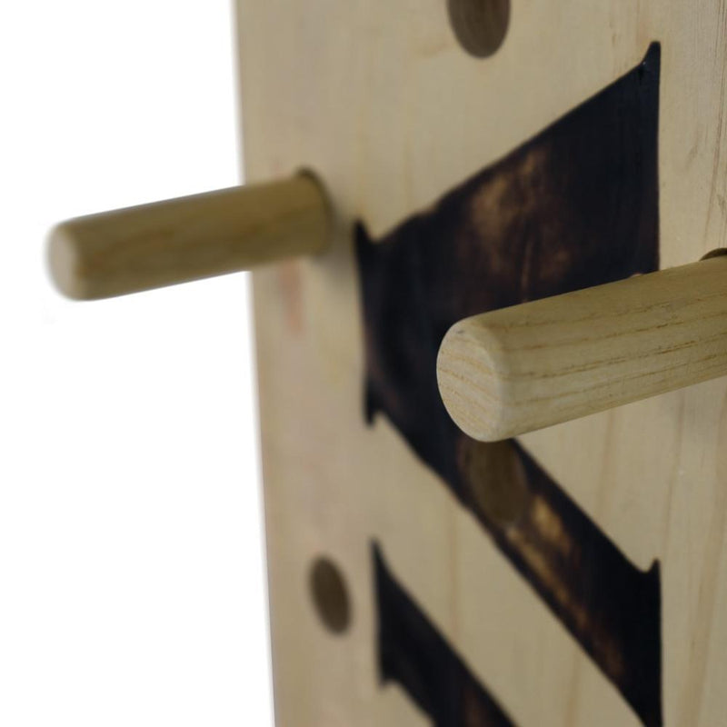 Load image into Gallery viewer, Valor Fitness PG-1, Climbing Peg Board
