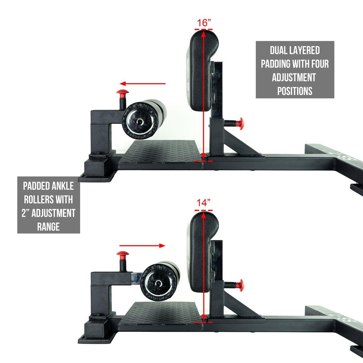 SS-T, Heavy Duty Sissy Squat Machine